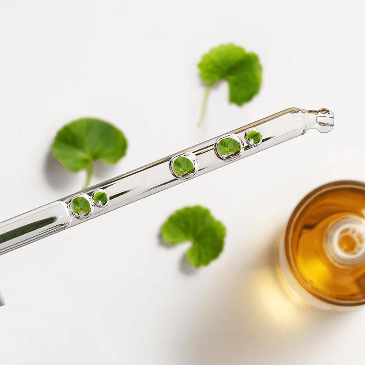 Madagascar Centella Ampoule - 100 ml - K-Beauty Arabia