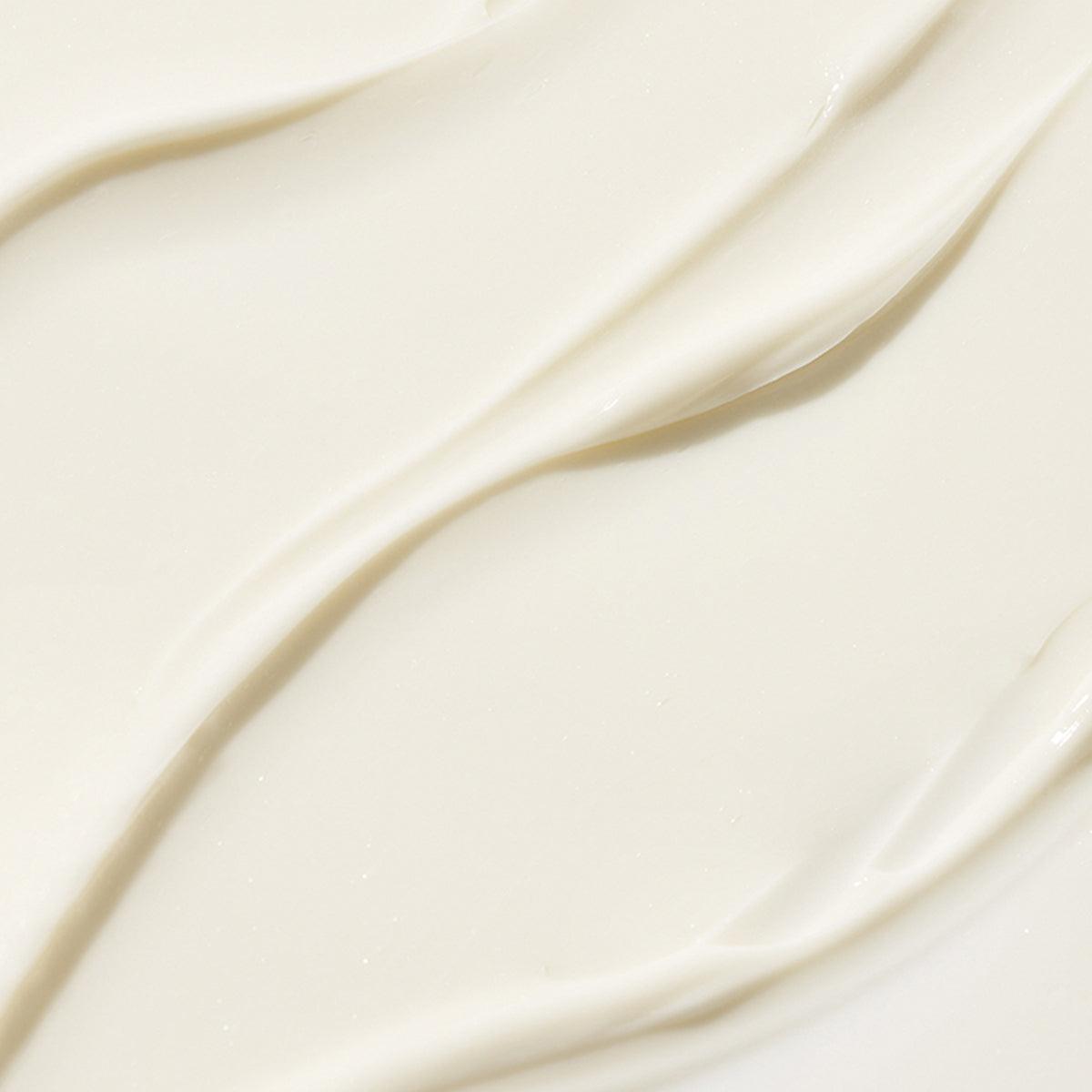Bakuchiol Retinol Cream - 60 ml - K-Beauty Arabia